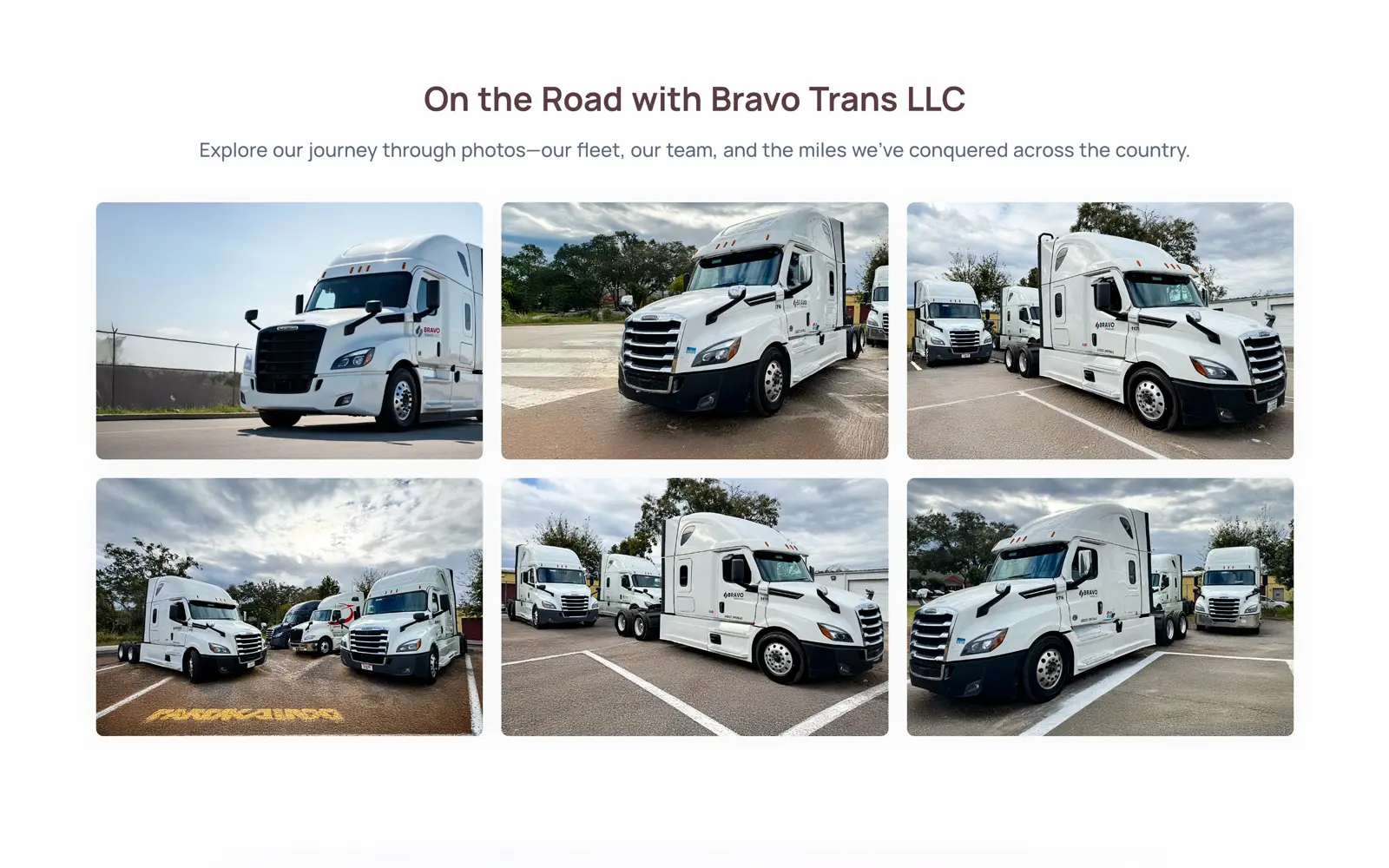 Bravo Trans LLC